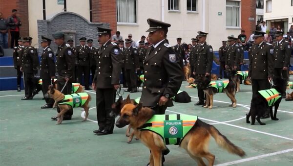 Почетные проводы полицейских собак в Эквадоре - Sputnik Молдова