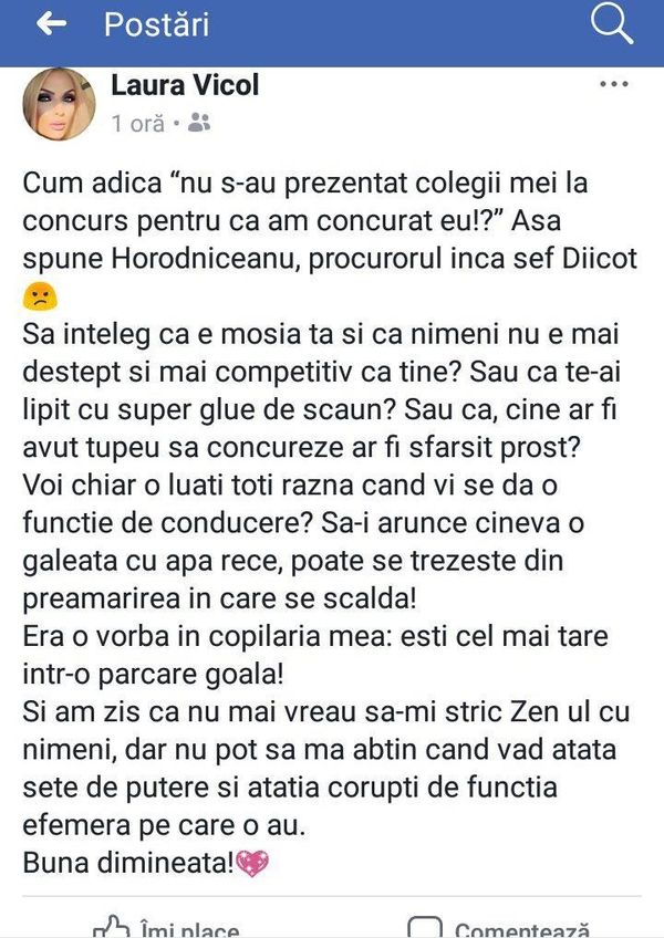 Postare Laura Vicol - Sputnik Moldova-România