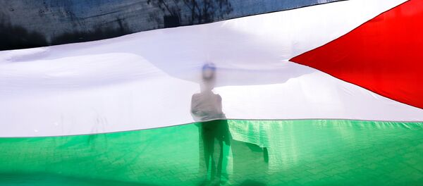 Flagul Palestinei - Sputnik Moldova-România