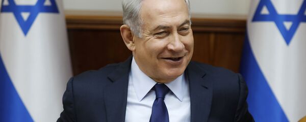 Israeli Prime Minister Benjamin Netanyahu attends the weekly cabinet meeting in Jerusalem, Sunday, July 30, 2017 - Sputnik Moldova-România