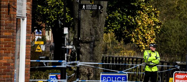 Город Солсбери в Великобритании, где были отравлены С. Скрипаль и его дочь - Sputnik Молдова