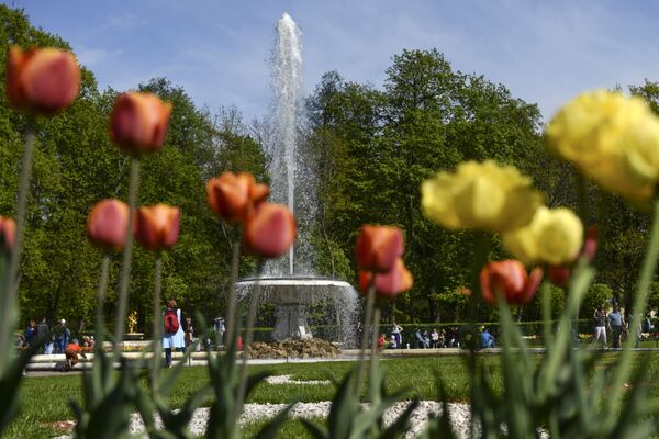 Sărbătoarea de primăvară a havuzurilor la Muzeul-rezervație de stat „Petergof” - Sputnik Moldova