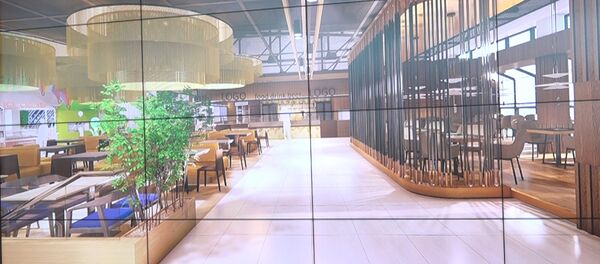 Кишиневский аэропорт переживает реконструкцию - Sputnik Молдова