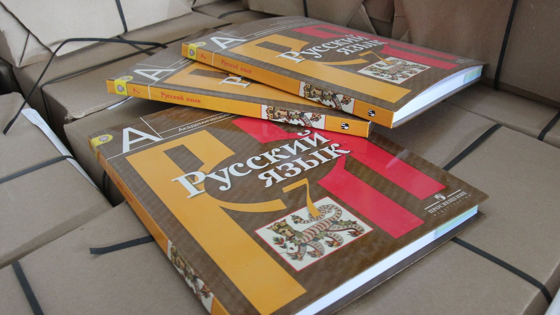 Textbooks on the Russian language. (File) - Sputnik Молдова, 1920, 24.09.2021