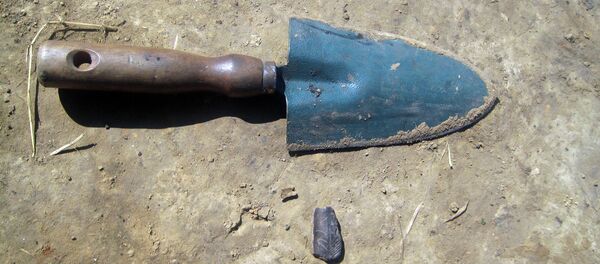 Археологические раскопки в Гнёздово Археологические раскопки в Гнёздово - Sputnik Молдова