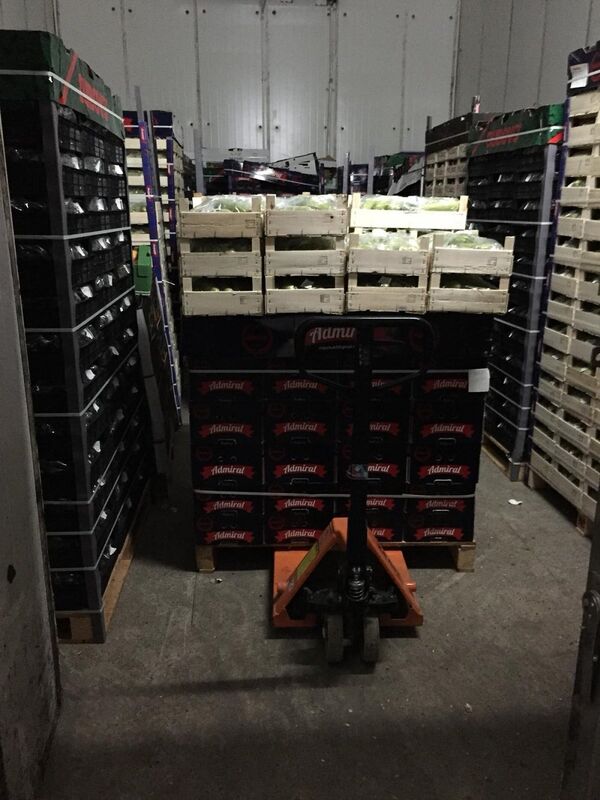 Подпольная фирма по продаже плодоовощной продукции - Sputnik Молдова