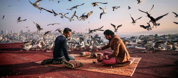 Снимок Завтрак на привале фотографа Себнема Коскуна, вошедший в шорт-лист лауреатов конкурса им. Андрея Стенина Снимок Завтрак на привале фотографа Себнема Коскуна, вошедший в шорт-лист лауреатов конкурса им. Андрея Стенина - Sputnik Молдова