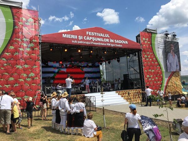 Festivalul Mierii și Căpșunilor la Sadova Festivalul Mierii și Căpșunilor la Sadova - Sputnik Moldova
