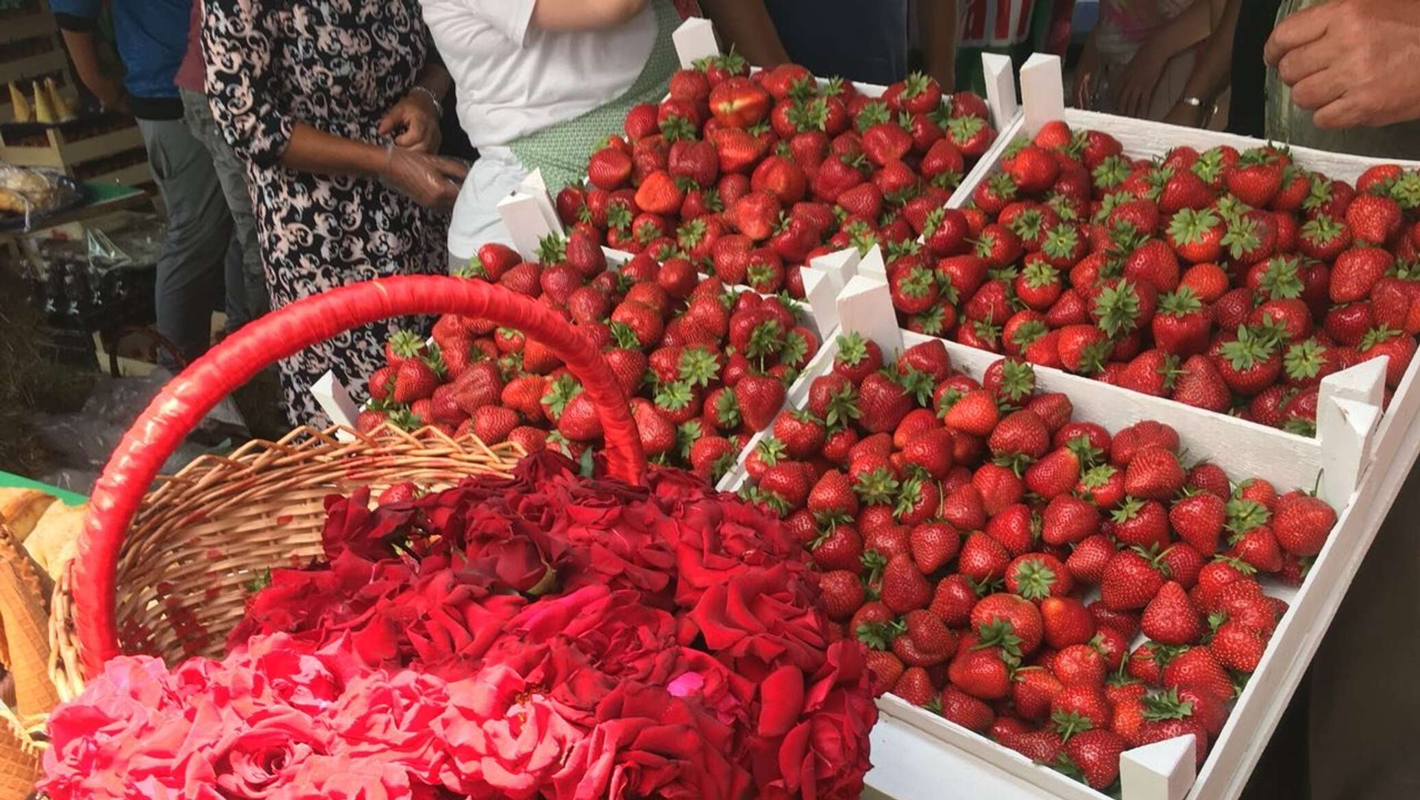 Фестиваль клубники в нижнем новгороде. Фестиваль клубники. Клубничный фестиваль во Флориде. Фестиваль клубники во Владивостоке. Клубника фестиваль Кипр.