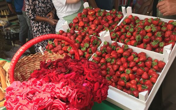 Festivalul Mierii și Căpșunilor la Sadova - Sputnik Moldova