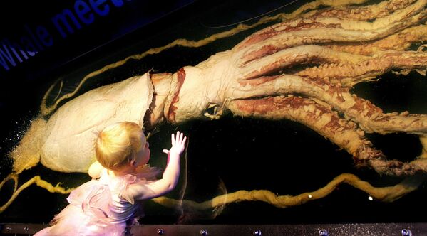 Трехлетняя девочка рядом с десятиметровым гигантским кальмаром на выставке морских жителей в музее Мельбурна - Sputnik Молдова