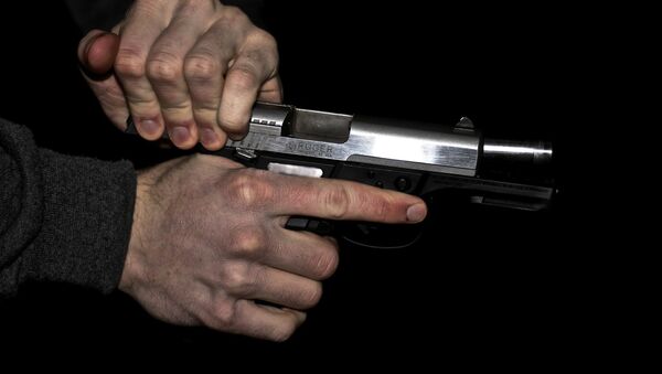 Una pistola (imagen referencial) - Sputnik Молдова