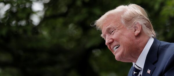 Donald Trump - Sputnik Moldova-România