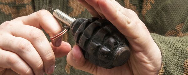 Граната в руках - Sputnik Moldova