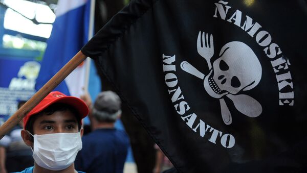 People demonstrate against the US biotechnology giant Monsanto and its genetically modified crops and pesticides, in Asuncion, on May 25, 2015 two days after thousands of people hit the streets in cities across the world to protest against the company. - Sputnik Moldova-România