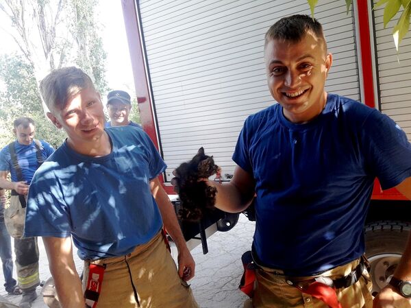 Спасатели вытащили котенка Спасатели вытащили котенка - Sputnik Молдова