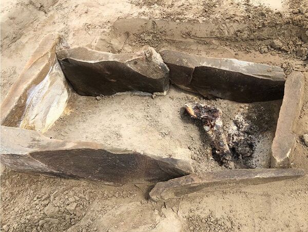 Древняя мумия в зоне затопления Саяно-Шушенской ГЭС Древняя мумия в зоне затопления Саяно-Шушенской ГЭС - Sputnik Молдова