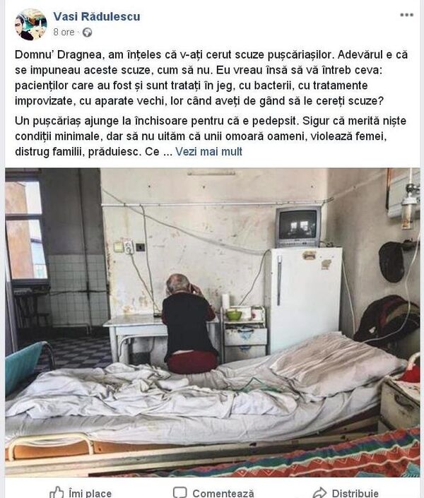 Postare Vasi Radulescu - Sputnik Moldova-România