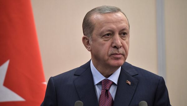 Президент Турции Реджеп Тайип Эрдоган - Sputnik Moldova