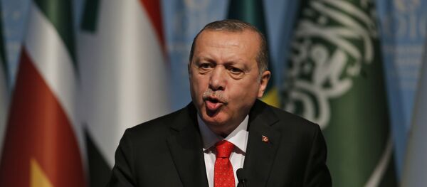 Turkey's President Recep Tayyip Erdogan gestures as he talks during the closing news conference following the Organisation of Islamic Cooperation's Extraordinary Summit in Istanbul, Wednesday, Dec. 13, 2017 - Sputnik Moldova-România