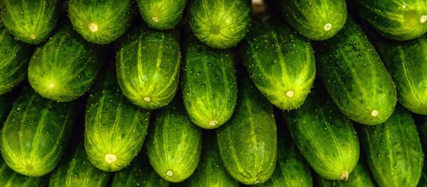 Огурцы, архивное фото. - Sputnik Молдова