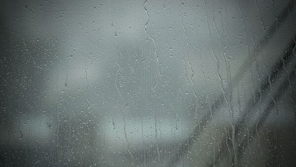 Дождь. Архивное фото - Sputnik Молдова