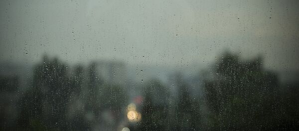 Ploaie  - Sputnik Moldova