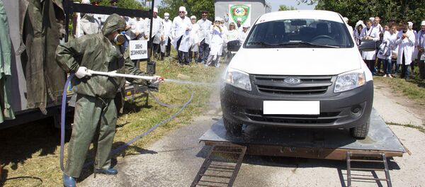 Учения по профилактике африканской чумы - Sputnik Moldova-România