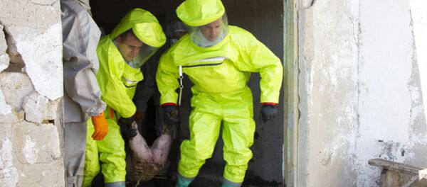 Учения по профилактике африканской чумы - Sputnik Moldova-România