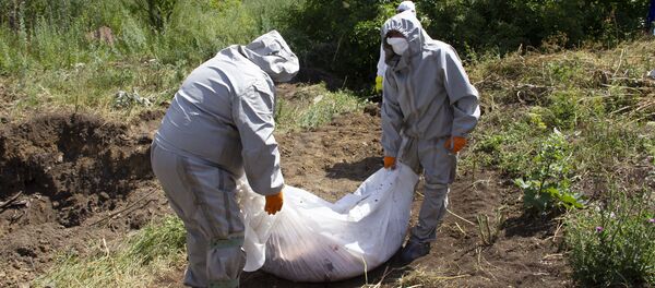 Учения по профилактике африканской чумы - Sputnik Moldova