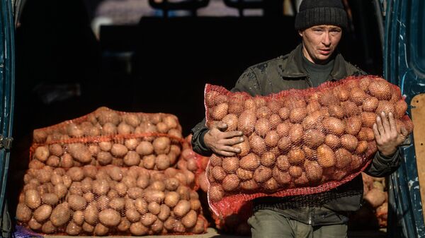Bărbat cu un sac de cartofi - Sputnik Moldova