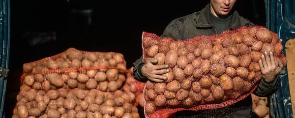 Торговля на рынке - Sputnik Молдова