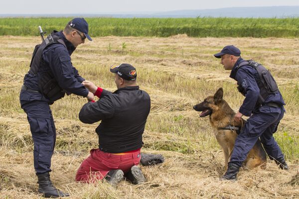 Вот так пограничные полицейские задерживают правонарушителей. - Sputnik Молдова