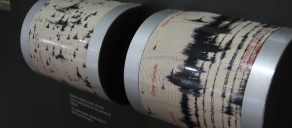 Seismograph - Sputnik Молдова