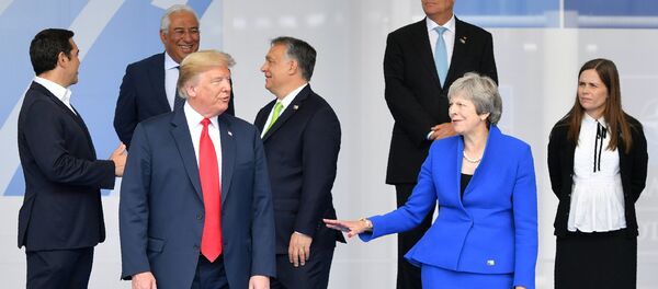 Президент США Дональд Трамп во время церемонии открытия саммита НАТО (11 июля 2018). Брюссель Президент США Дональд Трамп во время церемонии открытия саммита НАТО (11 июля 2018). Брюссель - Sputnik Молдова