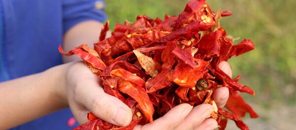 Урожай - Sputnik Moldova-România