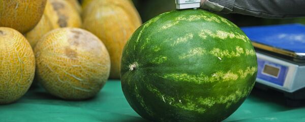 Определение содержания нитратов в арбузе. - Sputnik Молдова