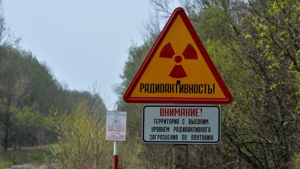 Сектор зоны отчуждения Чернобыльской АЭС - Sputnik Молдова
