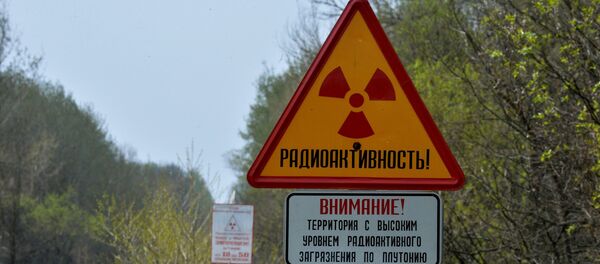 Сектор зоны отчуждения Чернобыльской АЭС - Sputnik Молдова