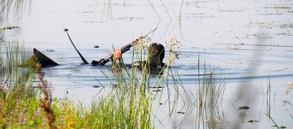 Водолаз - Sputnik Молдова