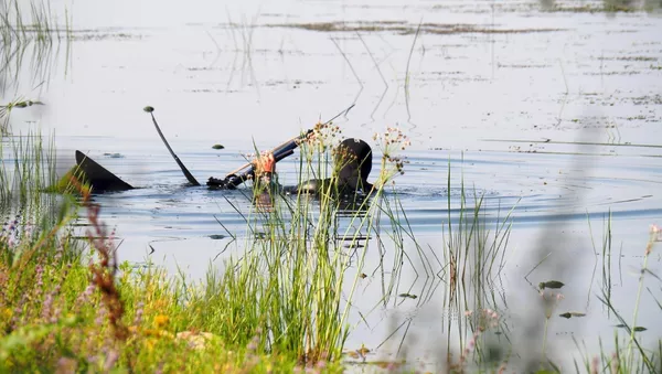Водолаз - Sputnik Moldova
