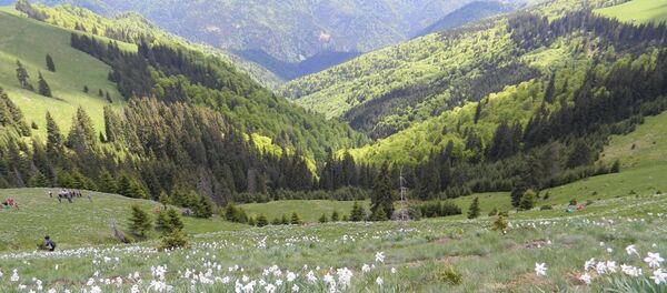 Parcul Național Munții Rodnei - Sputnik Moldova-România