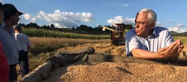 Petre Daea - Sputnik Moldova-România