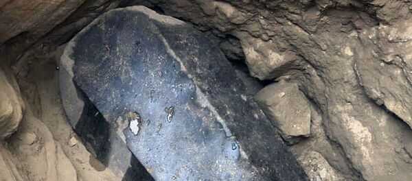 Огромный черный саркофаг, обнаруженный под зданием в районе города Александрия  - Sputnik Молдова