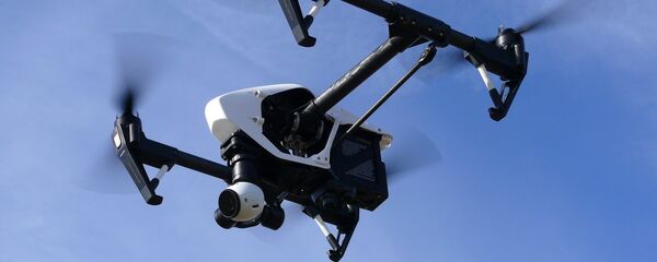 Дрон - Sputnik Молдова