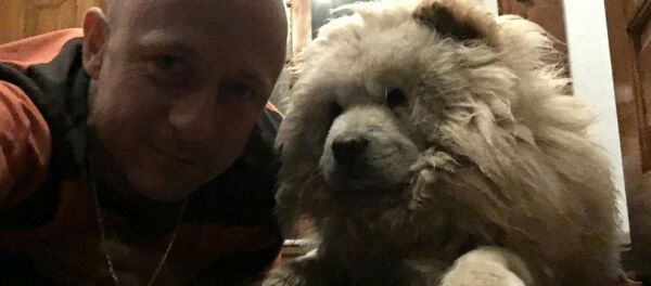 Хозяин Чапи Александр прислал фото в редакцию - Sputnik Молдова