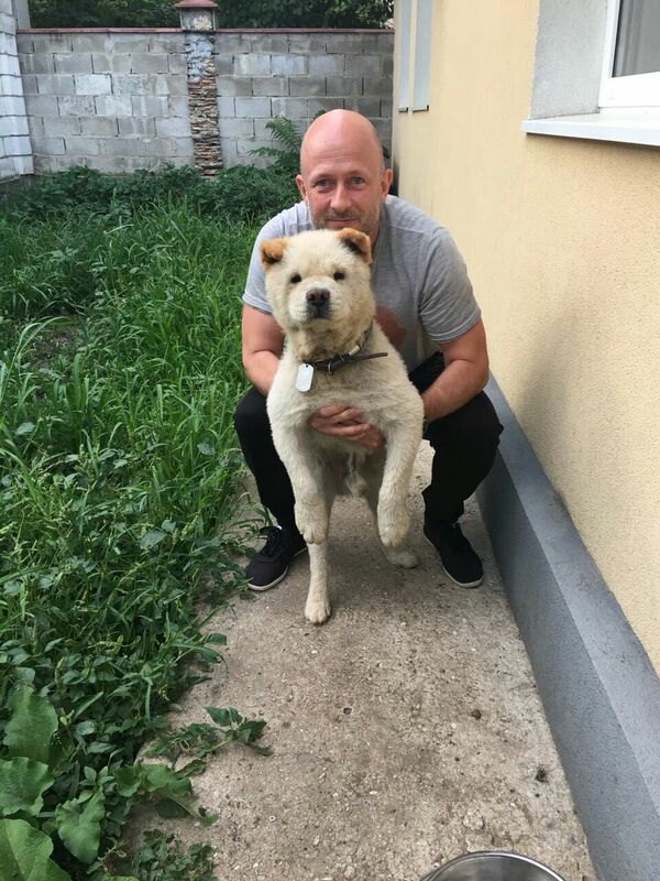 Хозяин Чапи Александр прислал фото в редакцию - Sputnik Молдова