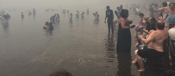 Consecințele incediilor din Grecia - Sputnik Moldova-România