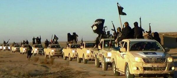 Колонна автомобилей с боевиками Исламского государства. Архивное фото - Sputnik Moldova