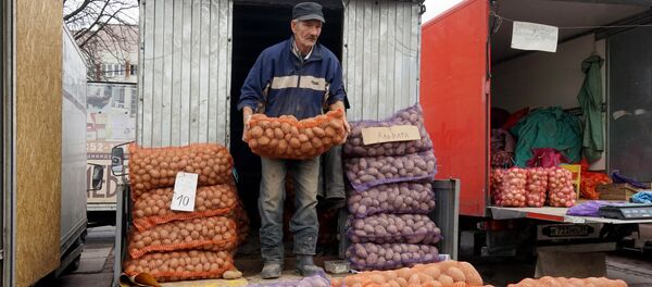 Cartofi, cu... ridicata Cartofi, cu... ridicata - Sputnik Moldova